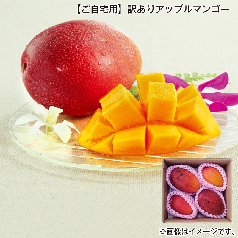 マンゴー 宮崎 訳ありアップルマンゴー ご自宅用 1.1kg（2〜4個 