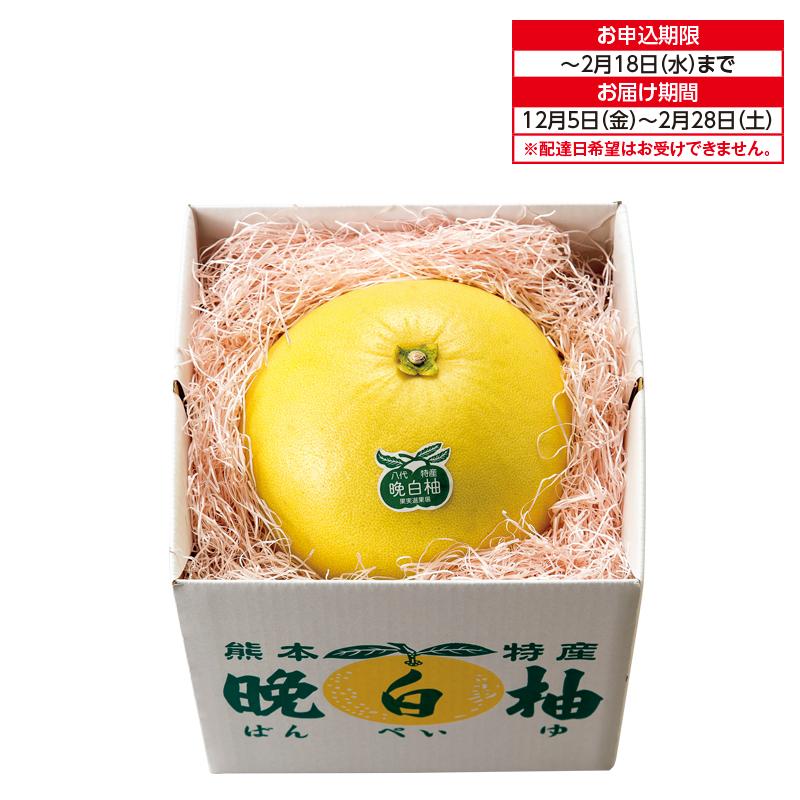 熊本県産 晩白柚 : 郵便局物販サービスYahoo!店 - 通販 - Yahoo