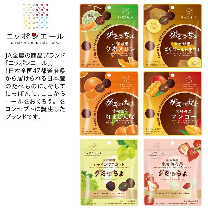 「チョコ」 バレンタイン 2026 チョコ ＜ニッポンエール＞グミっちょ6種詰合せ