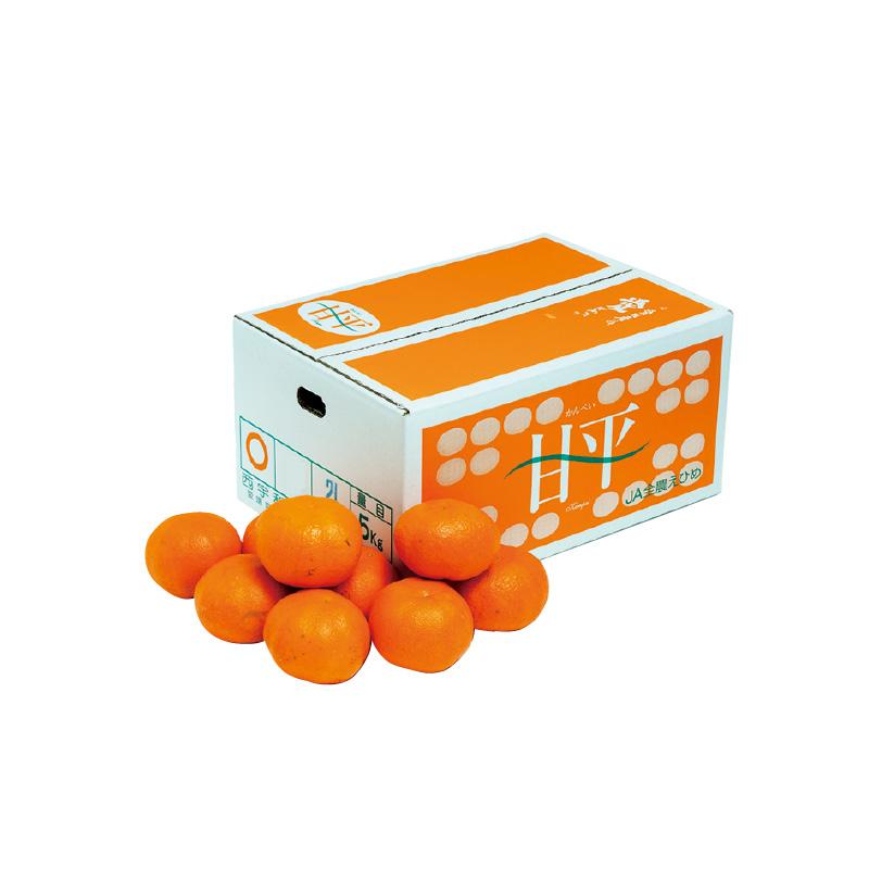 甘平 5kg かんぺい みかん 家庭用 愛媛県産 甘平 5kg : 郵便局物販