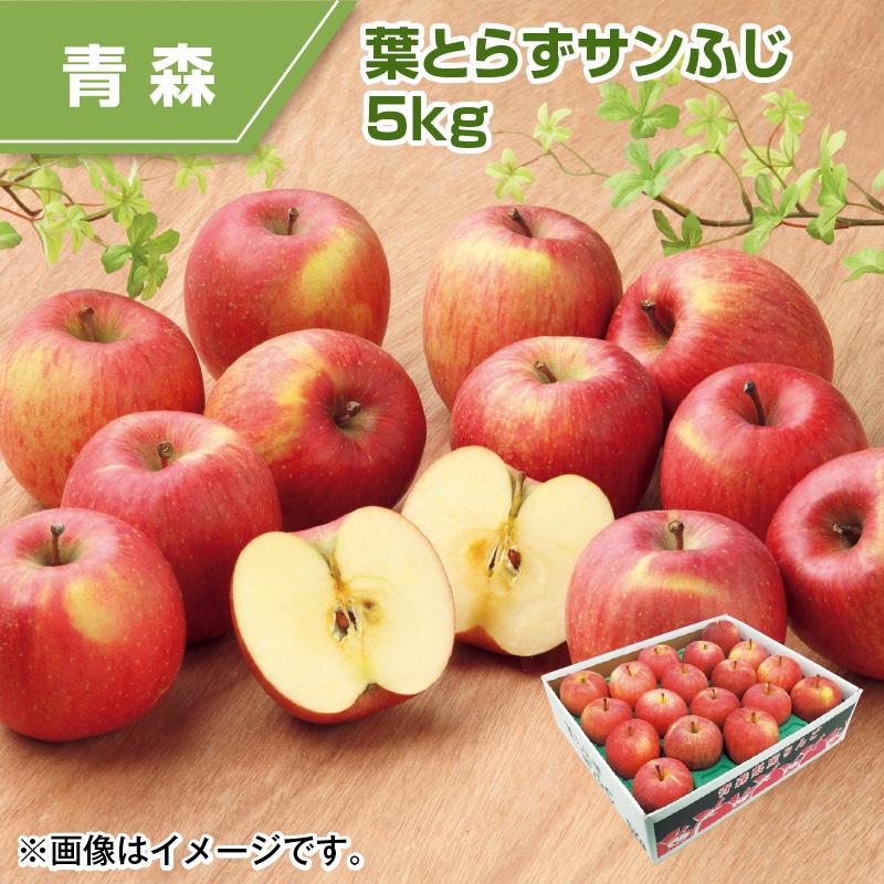 葉とらずサンふじ 5kg りんご リンゴ 送料込み : 郵便局物販 
