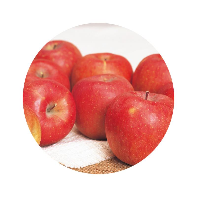 家庭用】サンふじ10kg : 郵便局物販サービスYahoo!店 - 通販