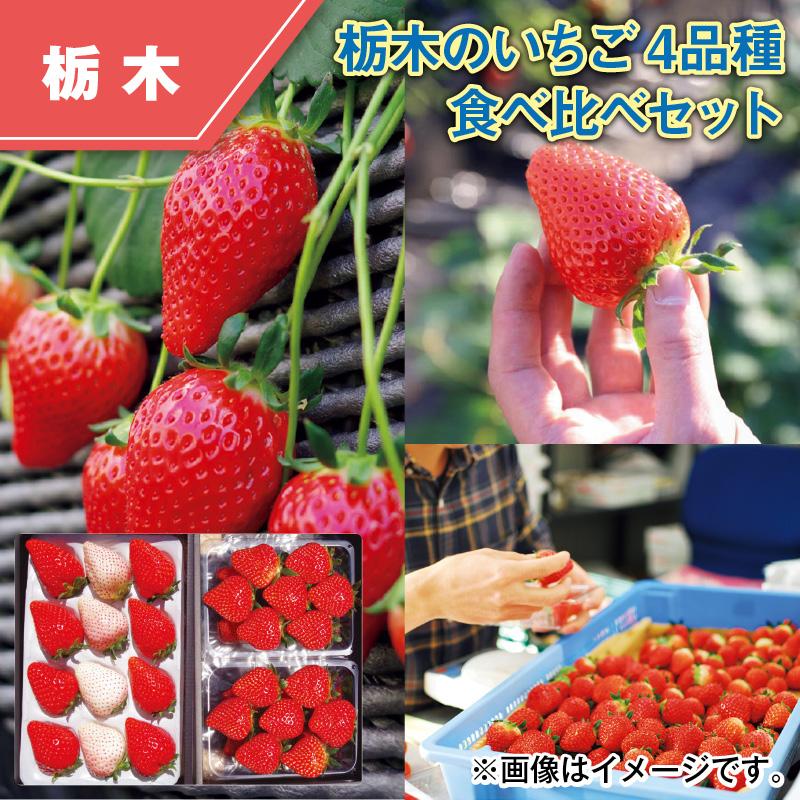 栃木のいちご4品種 食べ比べセット : 郵便局物販サービスYahoo!店
