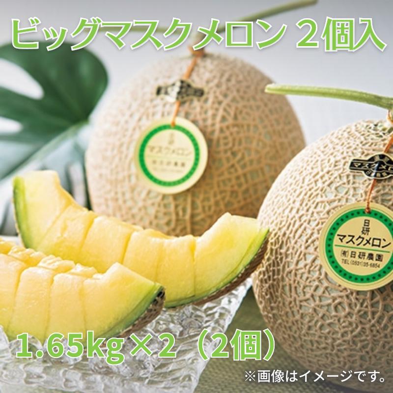 ビッグマスクメロン 2個入 : 郵便局物販サービスYahoo!店 - 通販