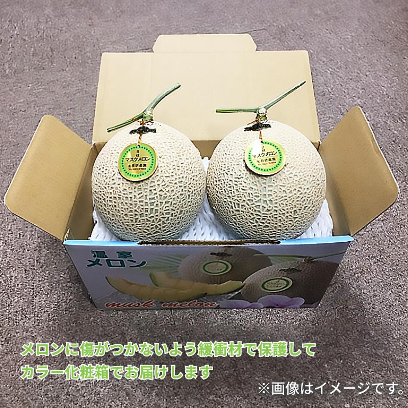 ビッグマスクメロン 2個入 : 郵便局物販サービスYahoo!店 - 通販