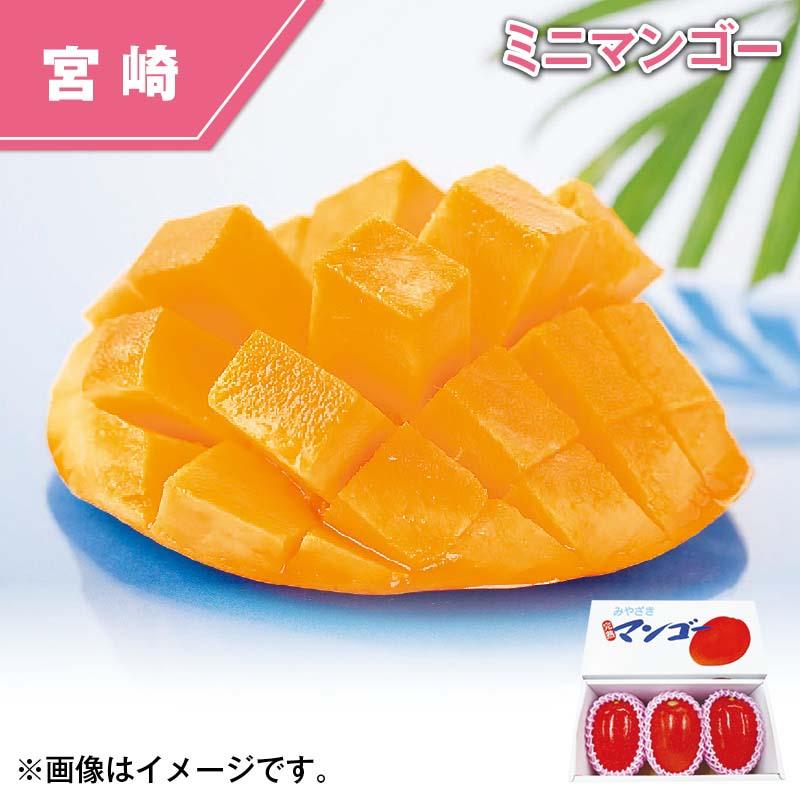 宮崎県 西都産 ミニマンゴー 爆買week : 郵便局物販サービスYahoo!店