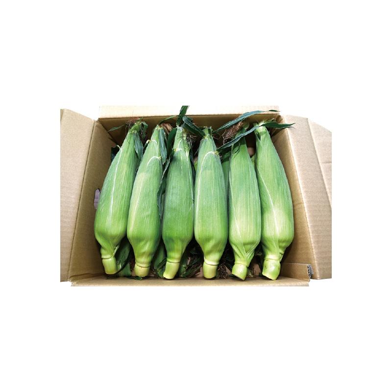 ゴールドラッシュ : 郵便局物販サービスYahoo!店 - 通販 - Yahoo