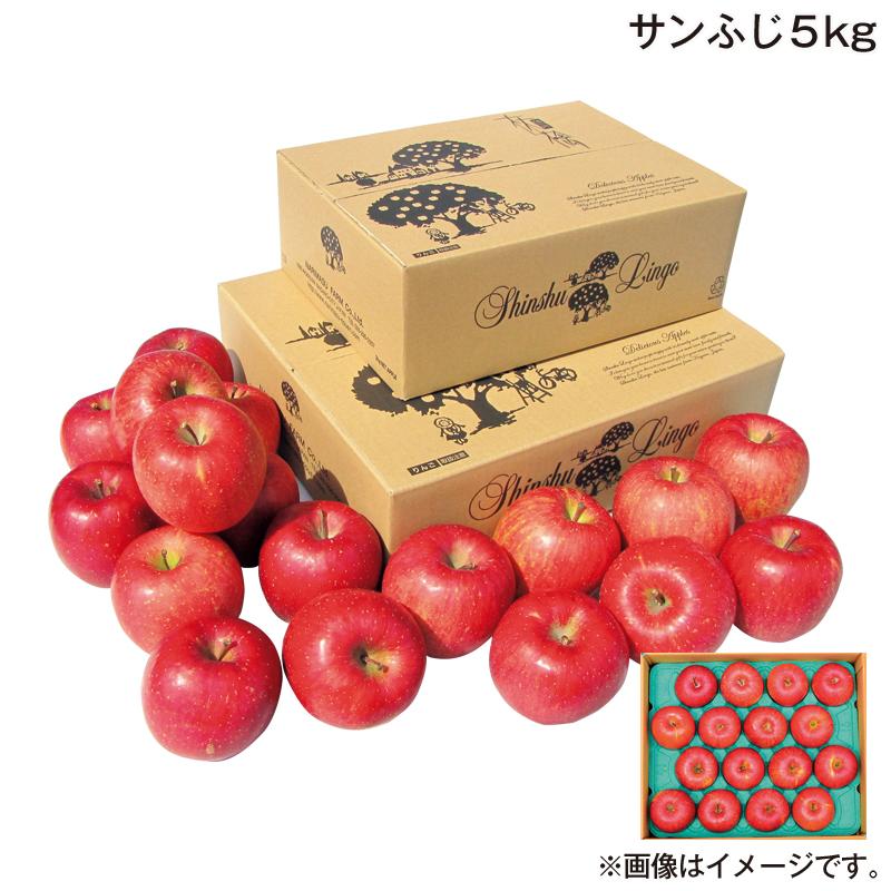 お歳暮 2025 サンふじ 5kg : 郵便局物販サービスYahoo!店 - 通販