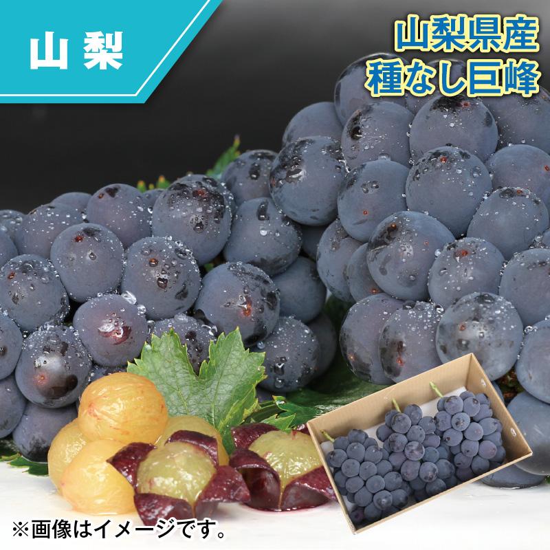 1️⃣5️⃣ 山梨県産 種なし巨峰 １４房入り 箱込5.5キロ 山梨県産 種なし巨峰 爆買 : 郵便局物販サービスYahoo!店 - 通販