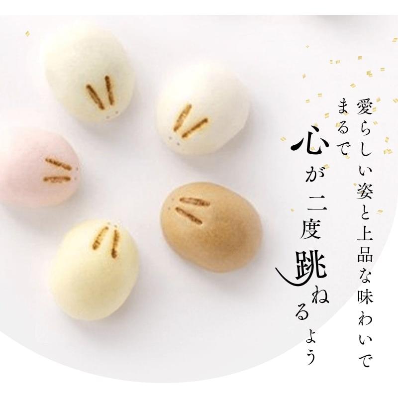 福うさぎ 5種詰め合わせ20個入り 送料込【和菓子 ギフト お中元 お歳暮