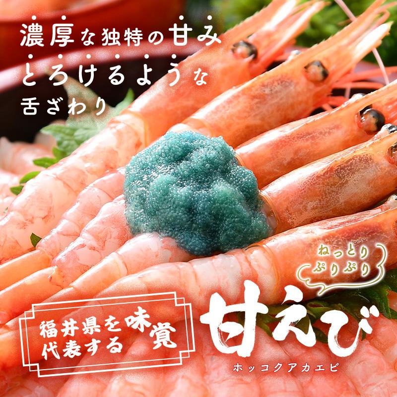 三国港直送 越前甘えび500g 送料無料【産地直送 海鮮 冷凍 エビ 福井県