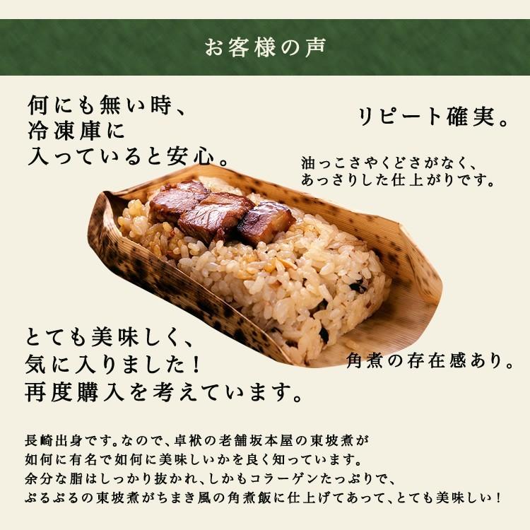 九州 ギフト 2026 坂本屋 角煮めし詰合せ 10個入 MS-10 長崎名物 長崎