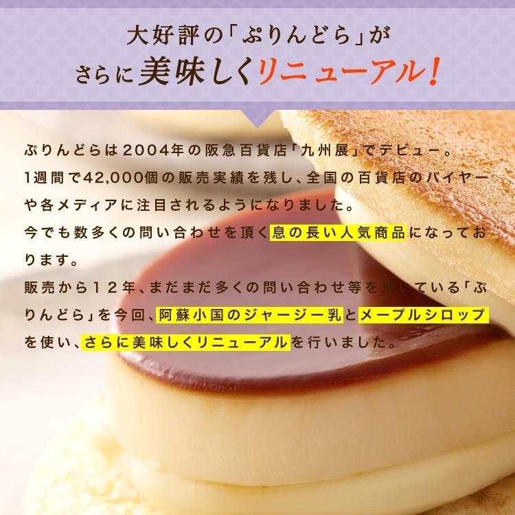 九州 ギフト 2026 由布院 花麹菊家 ゆふいん創作菓子 新ぷりんどら 9個