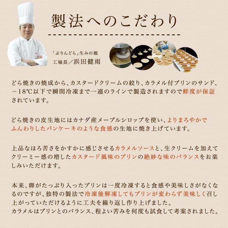 九州 ギフト 2026 由布院 花麹菊家 ゆふいん創作菓子 新ぷりんどら 9個