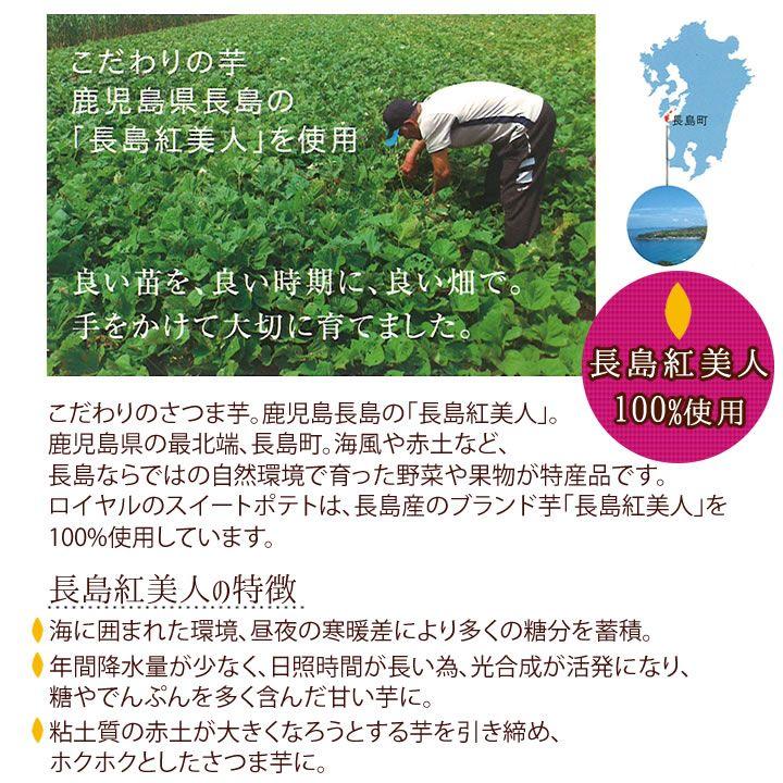 九州 ギフト 2024　ロイヤル スイートポテト 12個入  福岡土産  福岡空港客室乗務員御用達 冷蔵｜jrk-shoji｜03