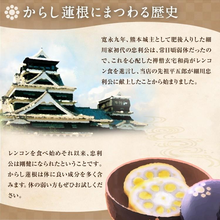 九州 ギフト 2026 元祖 森からし蓮根 1本箱詰 からしレンコン 辛子蓮根