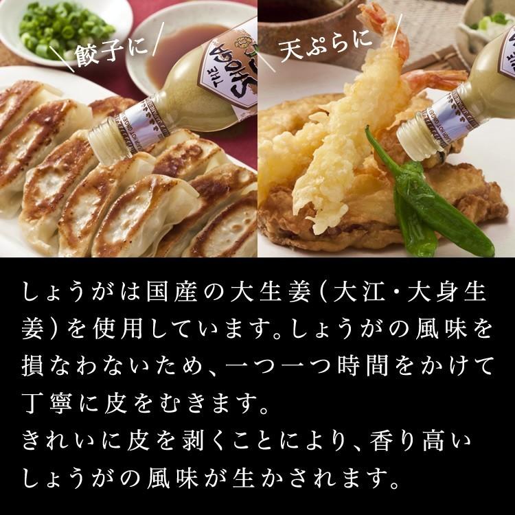 九州 ギフト 2025 高橋商店 ゆずすこ2本 しょうがすこ1本セット 九州 ギフト 2025 高橋商店 ゆずすこ2本 しょうがすこ1本セット