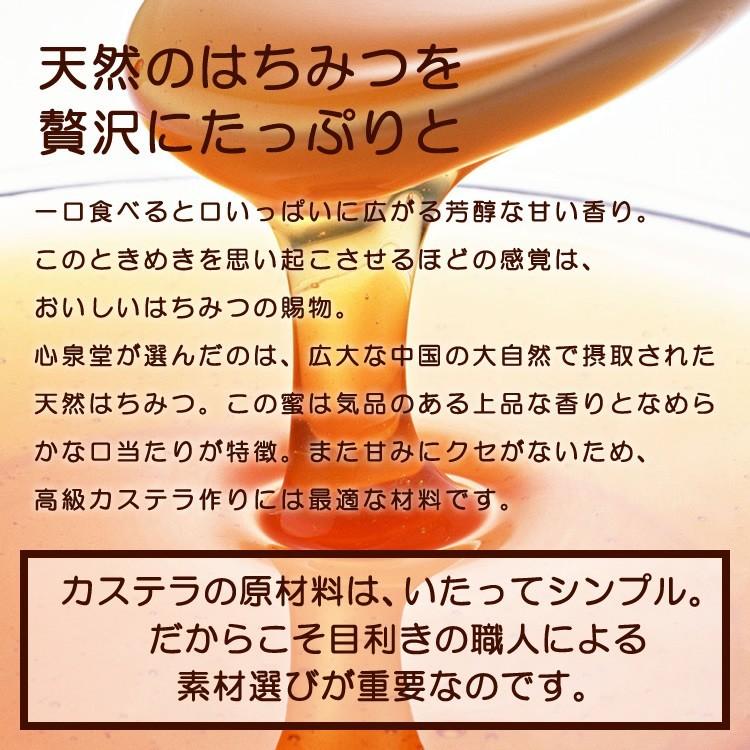 九州 ギフト 2025 長崎心泉堂 幸せの黄色いカステラ 0.6号 常温 : 九州