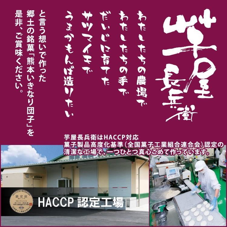 九州 ギフト 2024　芋屋長兵衛 いきなり団子 （20個） 熊本銘菓 熊本 お土産 冷凍 I81R02｜jrk-shoji｜06