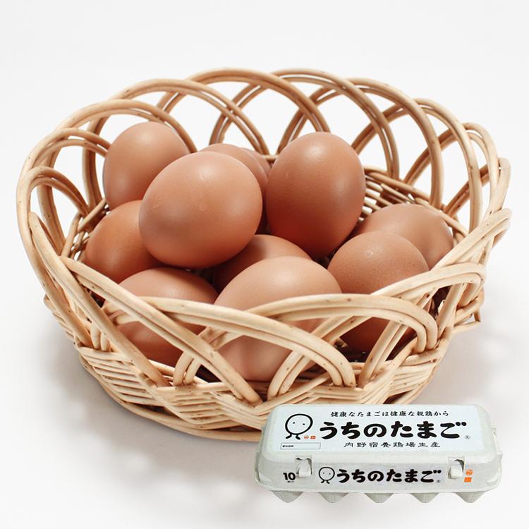 九州 ギフト 2026 JR九州ファーム うちのたまご ギフトセット 10個入