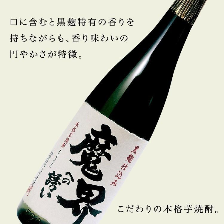 九州 ギフト 2024 父の日　光武酒造場 芋焼酎入徳利 ST-A (720ml/25度) お父さんありがとう 九州 佐賀 魔界への誘い 送料無料 常温｜jrk-shoji｜02