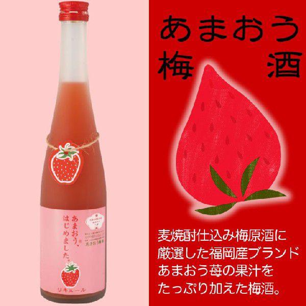 九州 ギフト 2024 篠崎 あまおう梅酒 あまおう、はじめました。 500ml 6度  リキュール  福岡産あまおう使用  常温｜jrk-shoji