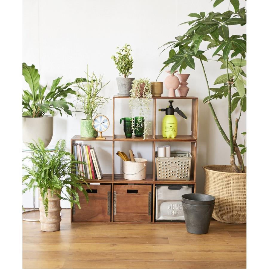 ACME Furniture Furnitureアクメファニチャー TROY BOX L トロイ