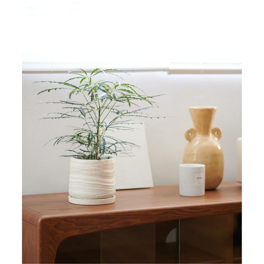 journal standard Furniture JOURNAL STANDARD FURNITURE ジャーナル