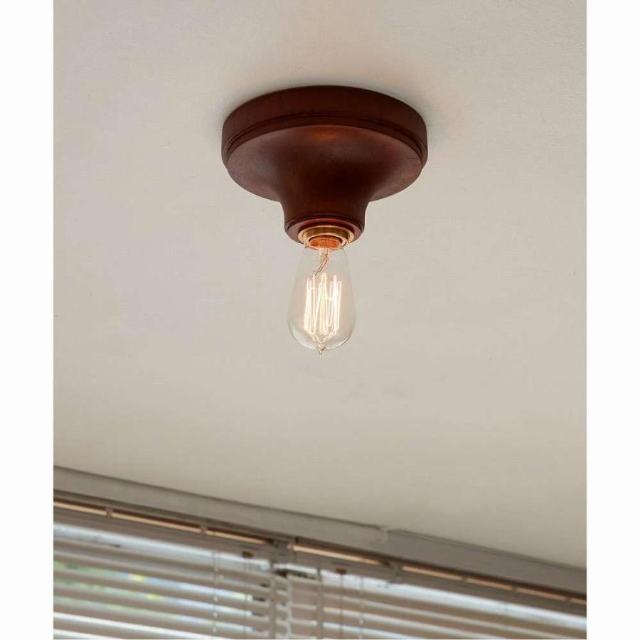 ACME Furniture（アクメファニチャー） IRVIN CEILING LAMP アーヴィン