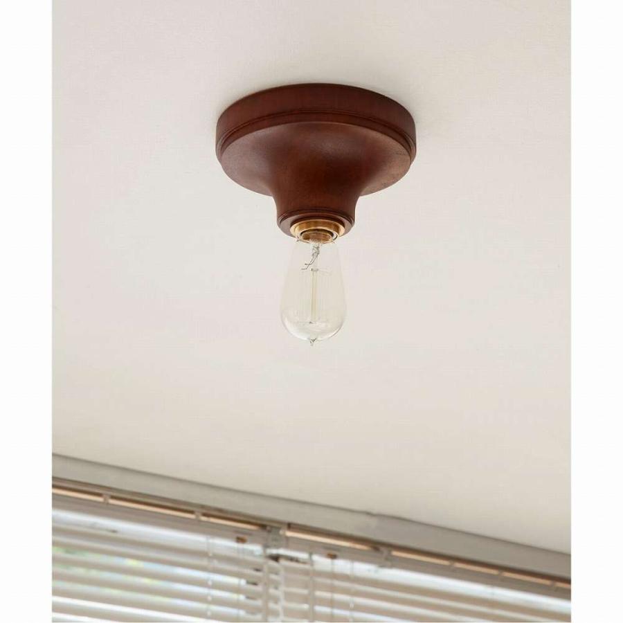 ACME Furniture（アクメファニチャー） IRVIN CEILING LAMP アーヴィン