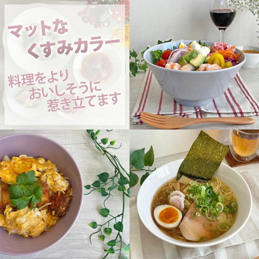 汚れが落ちやすい 食器 美濃焼 18×9cm ラーメン丼 丸【選べる3色