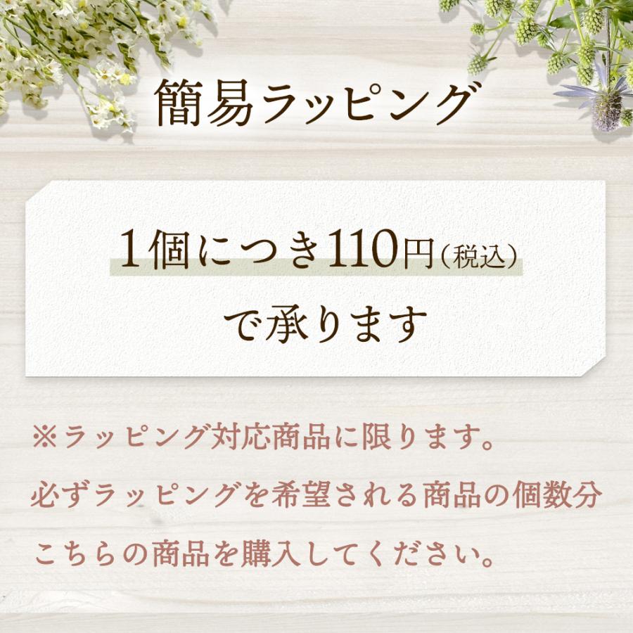 簡易ラッピング 希望券 1個に付き110円 ラッピング対応商品のみ可 熨斗