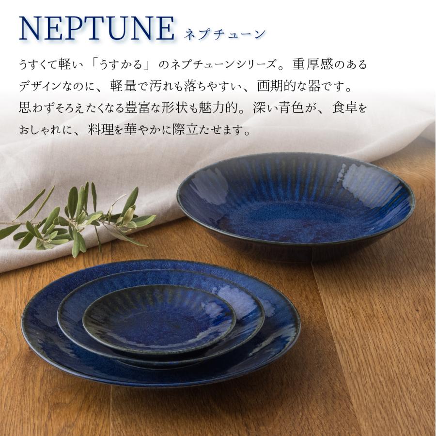 ネプチューン うすかる 菊割楕円90鉢 30×15.5cm 大鉢 ボウル 約500g