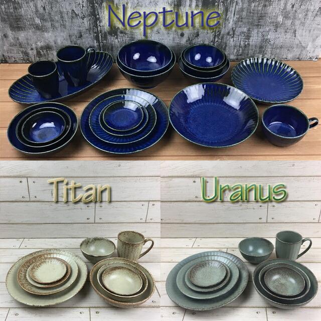 お花大皿8枚業務用幅32.5縦24.3cm