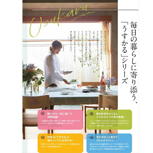 ねこちぐら ミケ 20cm うすかる 丸皿 60皿 プレート カレー皿 パスタ皿