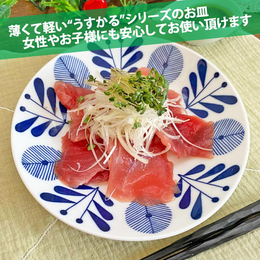 オーランド 22cm 丸皿 丸 プレート うすかる パスタ皿 カレー皿 皿