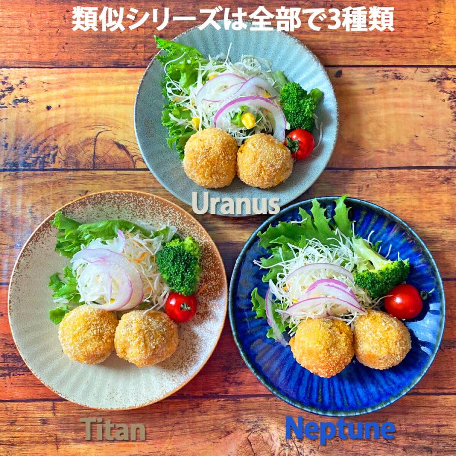 SNOOPY♥市松柄うすかる丼 SNOOPY♥市松柄うすかる丼 51X4jaZADJL._UF894,1000_QL80_.jpg