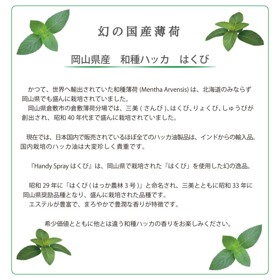 即納 最大半額 ハッカ油スプレー 日本産 岡山県産 はくび 50ml 日本製 数量限定 Wantannas Go Id