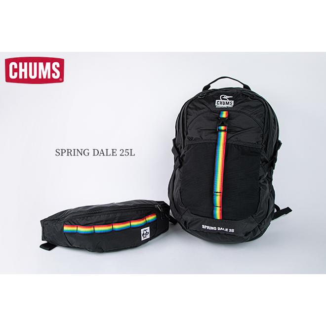 チャムス　25L　スプリングデール　リュック　バッグ CHUMS（チャムス） リュックサック スプリングデール 25L バックパック