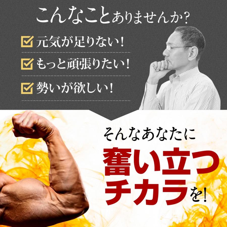 (定期)クラチャイダムゴールド液 ドリンク マカ アルギニン シトルリン マムシ すっぽん トンカットアリ 活力素材 18種配合 精力剤 ではない 2本(2回分) | 日本サプリメントフーズ | 02