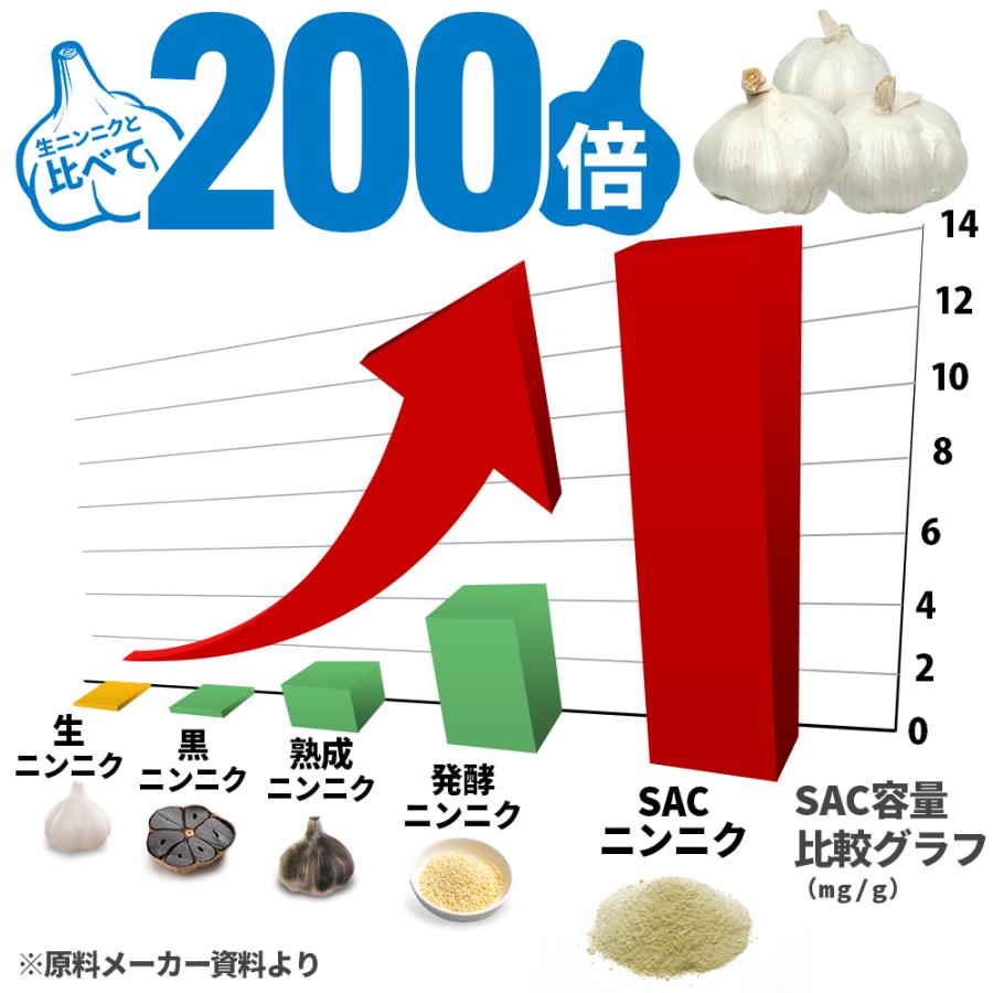 日本サプリメントフーズ \LINE登録で500円OFF/エデース ED ace 日本サプリメントフーズ \LINE登録で500円OFF/エデース ED ace