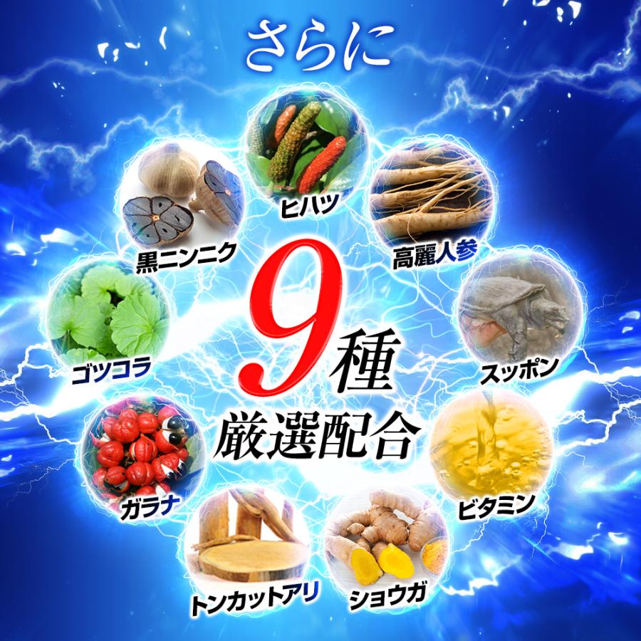 日本サプリメントフーズ シトルリン 栄養ドリンク シトルリンDX