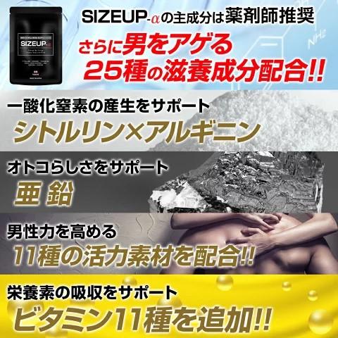 日本サプリメントフーズ サイズアップα マカ 高麗人参 トン