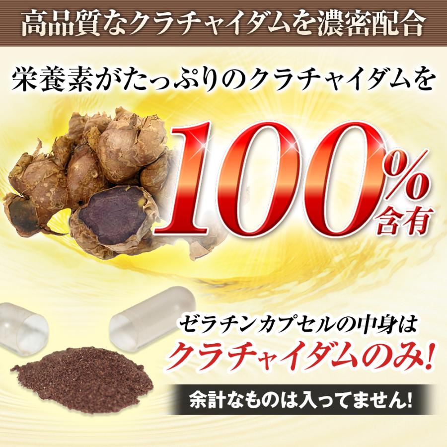 日本サプリメントフーズ ポイント最大35倍 クラチャイダムゴールド 翔