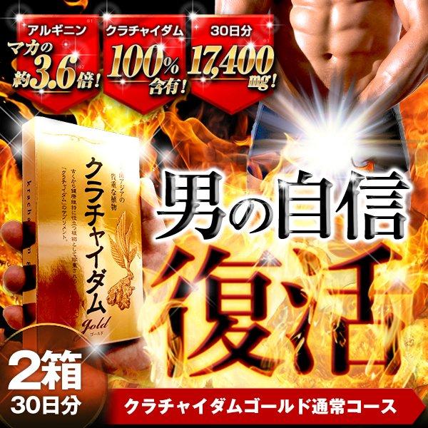 ★愛用者12万人超え！★ クラチャイダムゴールド アルギニン マカ 3.6倍越え 精力剤 が不安な方に クラチャイダム サプリメント 活力 増大 2箱60粒入・約30日分 | 日本サプリメントフーズ | 02