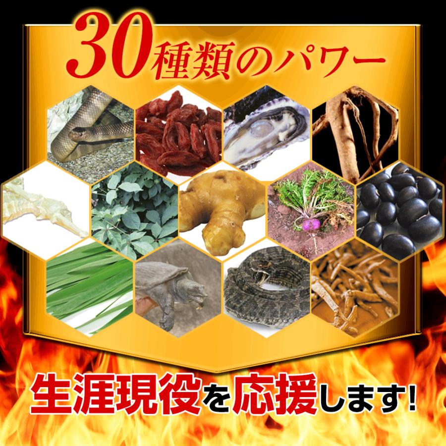 日本サプリメントフーズ (定期) ED TAL 高麗人参 の150倍 百歳山参