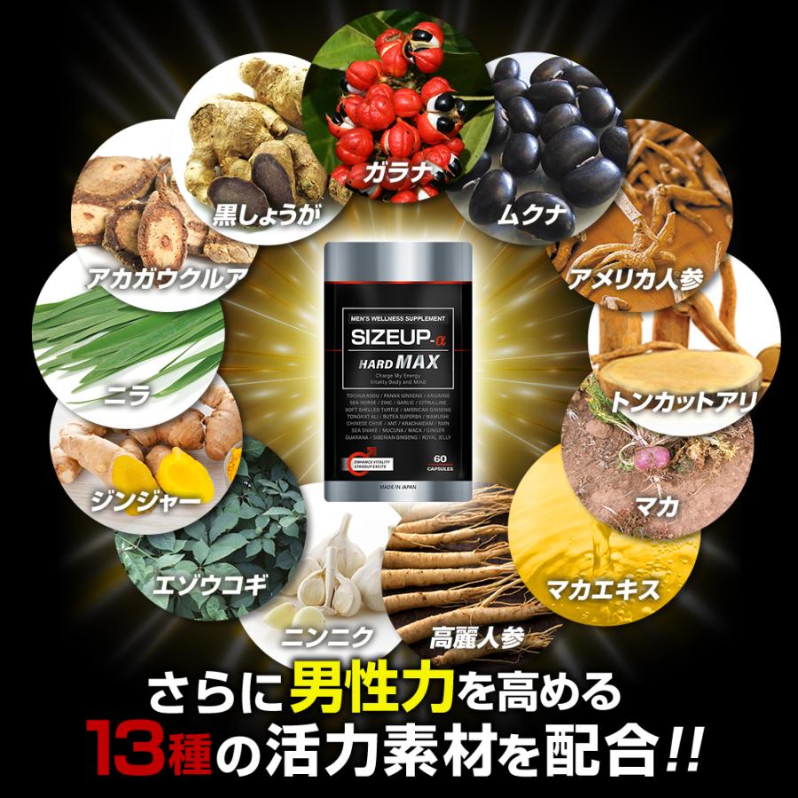 日本サプリメントフーズ 【定期】SIZEUP-α (サイズアップα) HARD 日本サプリメントフーズ 【定期】SIZEUP-α (サイズアップα) HARD