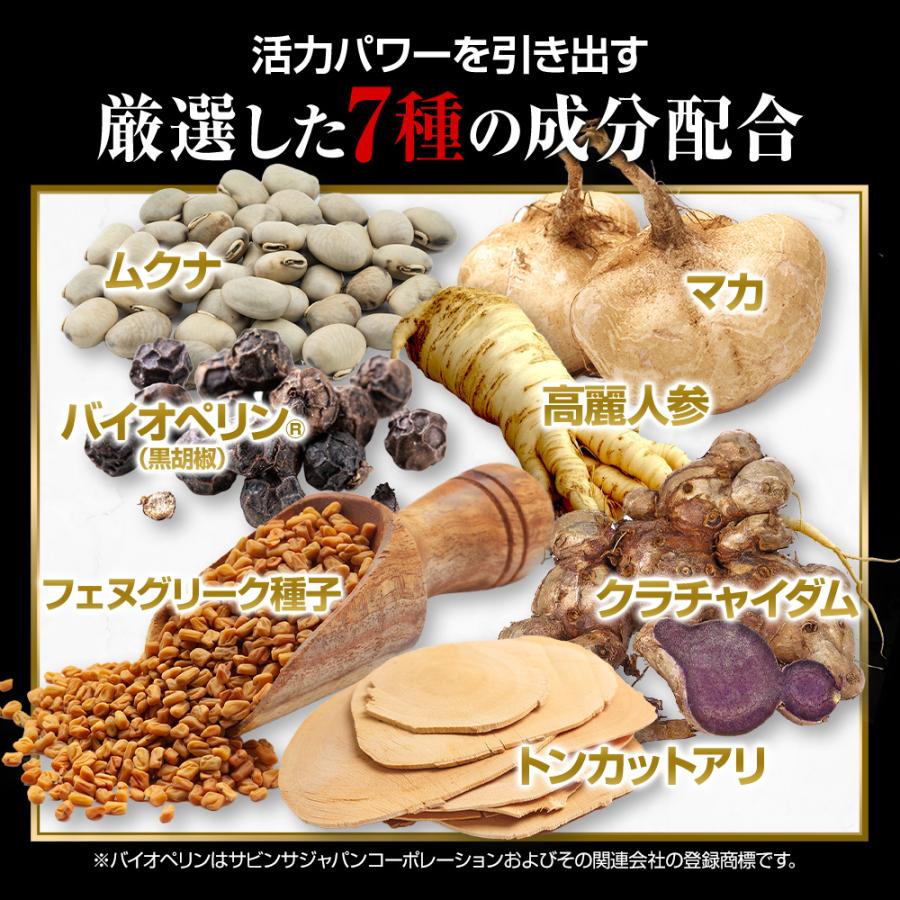 日本サプリメントフーズ (定期)ガチンコ3回戦 亜鉛 マカ シトルリン