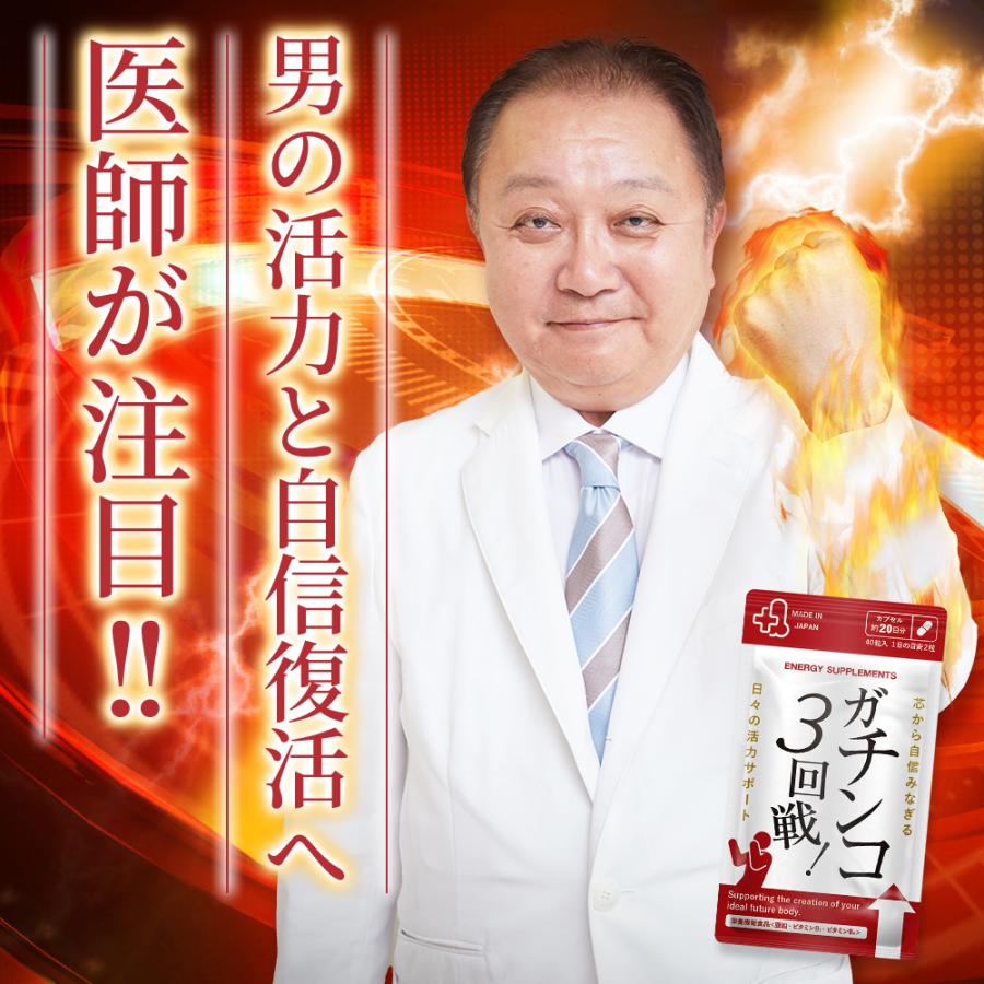 日本サプリメントフーズ ガチンコ3回戦 亜鉛 マカ シトルリン