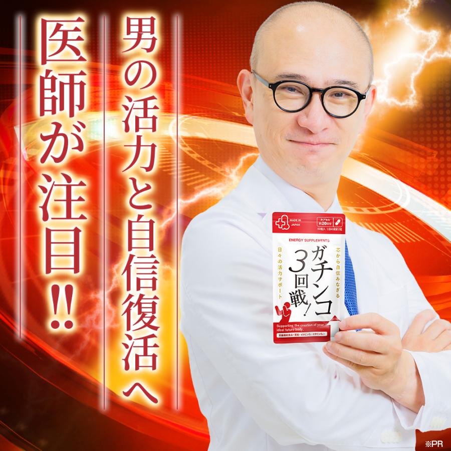 日本サプリメントフーズ ポイント最大35% ガチンコ3回戦 亜鉛 マカ